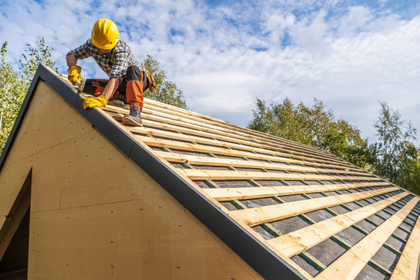 Best Roof Gutter Cleaning  in Day Heights, OH
